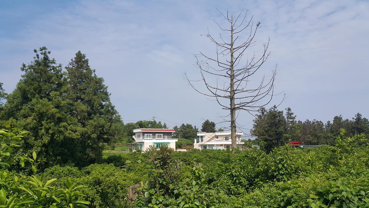 Jeju Mermuri Yerye-dong Exterior foto