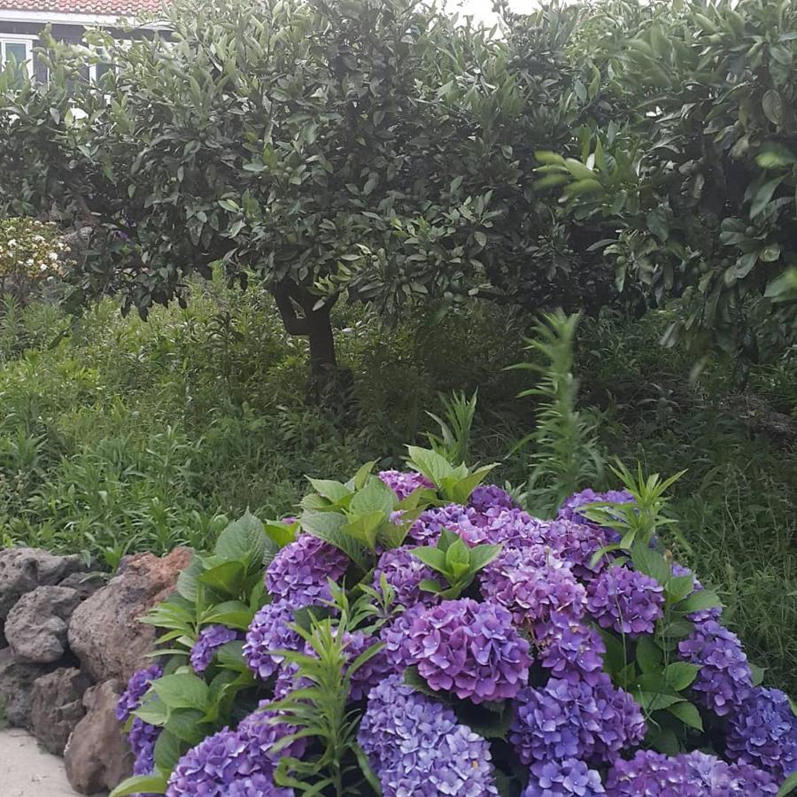 Jeju Mermuri Yerye-dong Exterior foto