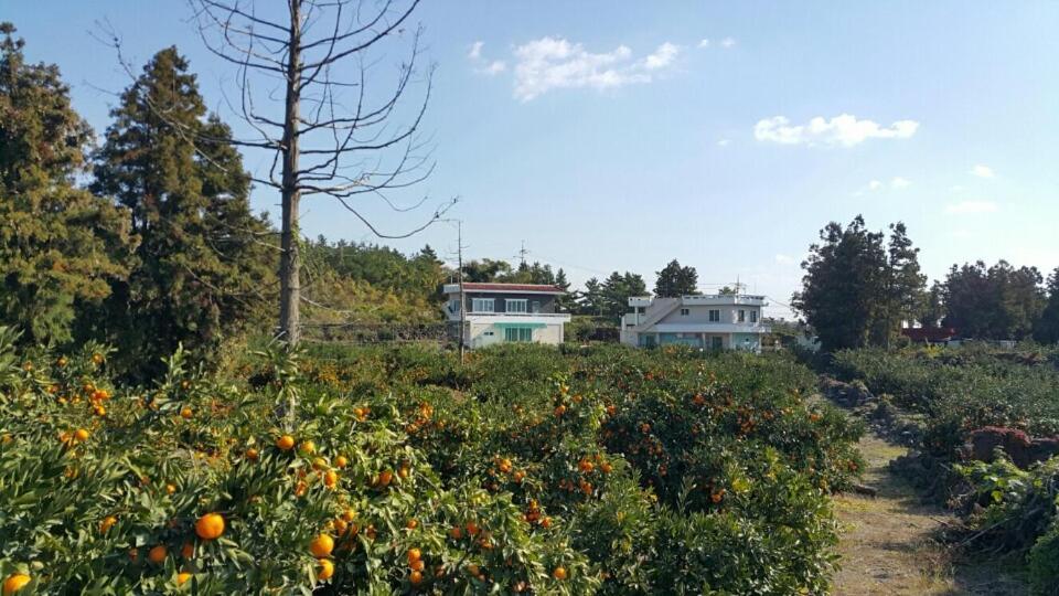 Jeju Mermuri Yerye-dong Exterior foto